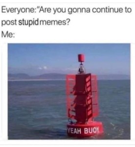 Everyone: "Are you gonna continue to post stupid memes?" Me: (photo of a red marker bobbing in the ocean with the words YEAH BUOY on it.