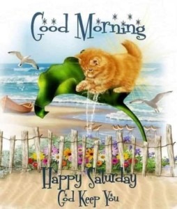 Picture of a kitten flying on a leaf above a flower garden with a beach and ocean in the background, and seagulls all around. Caption: Good morning. Happy Saturday. God Keep You.