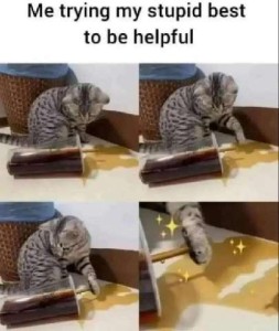 4 frames containing a gray and black cat and an object of some sort. First frame he is staring at it. Second frame he has his paw up. Third frame he taps on it. Fourth frame just shows his paw and the object moving off the left side of the frame, with stars added. Caption: Me trying my stupid best to be helpful.