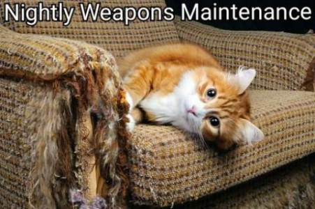 A yellow and white cat laying on his side on an upholstered chair, his front feet against the arm, which is totally shredded. Title: Nightly Weapons Maintenance