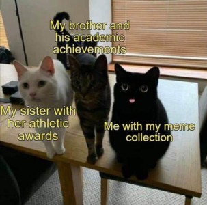 3 cats sitting on a table. On the left is a white cat, with the caption "My sister with her athletic awards." In the middle is a gray striped cat with the caption, "My brother and his academic achievements." Black cat on the right: "Me with my meme collection."