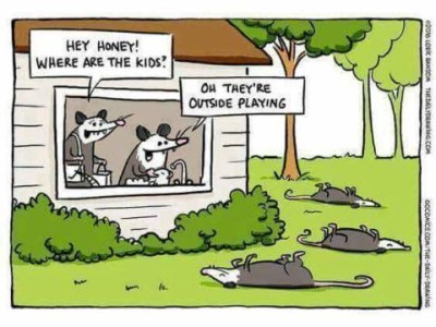 Cartoon of a family of possums. 3 of them are laying on the lawn. 2 adults, with a baby, are inside the house, looking out the window. Possum husband says, "Honey, where are the kids?" and possum wife replies, "Oh they're outside playing."