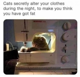 Photo of a cat at a sewing machine in a darkened room, with the light on the machine showing him looking at the needle with his front paws wrapped around it. Caption: Cats secretly alter your clothes during the night, to make you think you have got fat.