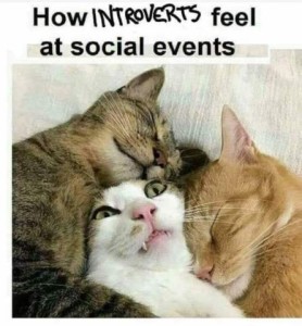 3 cats laying together, one in the middle has wide eyes, the other two are pressed around his head, sleeping. Caption: How introverts feel at social events.