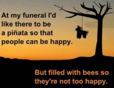 A bare tree with a pony pinata hanging from it silhouetted against the sky. Caption: At my funeral I'd like there to be a pinata so that people can be happy. But filled with bees so they're not too happy.