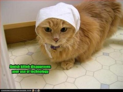 Fluffy orange cat wearing a plain white head covering, tied under the chin. Caption: Amish kitteh disapproves your use of technology.