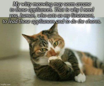 A calico cat laying on her side on the floor, licking one front paw. Caption: My witty meowing may seem arcane to those appliances. That is why I need you, human, who acts as my lieutenant, to lead those appliances and to do the chores.