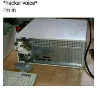 A gray and white cats head poking out from the back of a computer case. Caption: *hacker voice* I'm in