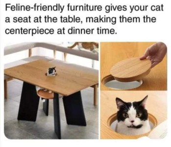 3 frame photos of a table with a hole in the middle and a stool underneath the hole. In the first frame a cat is sitting on the stoof with his head through the hole. In the 2nd frame a hand in replacing a cover over the hole. In the 3rd frame is a close-up of the cat's head through the hole, looking at the camera. Caption: Feline-friendly furniture gives your cat a seat at the table, making them the centerpiece at dinner time.