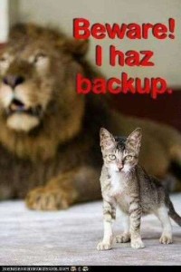 A little gray kitten in the foreground with a blurry male lion behind him. Caption: Beware! I haz backup.