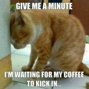 A cat sitting on a floor, his head pressed against a wall. Caption: Give me a minute. I'm waiting for my coffee to kick in...