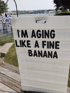 I'm aging like a fine banana. (on a sign at a beach)