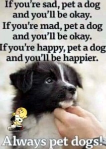A black and white puppy with a hand in the photo, petting it under the chin. Caption: If you're sad, pet a dog and you'll be okay. If you're mad, pet a dog and you'll be okay. If you're happy, pet a dog and you'll be happier. Always pet dogs.