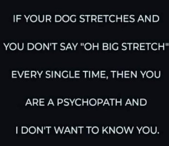 Text only. If your dog stretches andd you don't say, "Oh, big stretch!" every single time, then you are a psychopath and I don't want to know you.