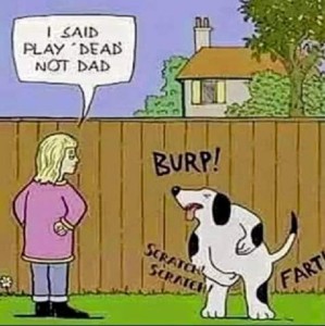 Cartoon of a dog on its hind legs, burping, farting, and scratching at itself. Person in the picture is saying, "I said play 'dead', not dad."