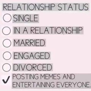All text. A checklist entitled Relationship Status, with 6 selections; the final one is checked. Selections are single, in a relationship, married, engaged, divorced, or posting memes and entertaining everyone.