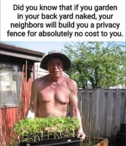 Photo of the top half of a guy with no clothes on except for a hat; he is holding a flat of tomatoes at, and just below, his waist. Caption: Did you know that if you garden in your back yard naked, your neighbors will build you a privacy fence at absolutely no cost to you.