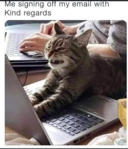 A cat with front legs on an open laptop's keyboard, a sneer on his face. Caption: Me, signing off my email with kind regards.