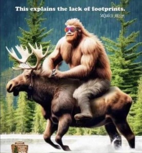 A picture of a bigfoot wearing red sunglasses, hair in a mullet, riding a moose through the woods. Caption: This explains the lack of footprints!