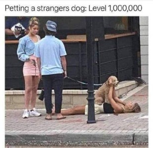 Two people talking on a street corner, one is holding a leash with little dog on the other end of it. Laying on the ground next to them is a young woman, with the dog on her belly while she's petting him. Caption: Petting a stranger's dog: Level 1,000,000.