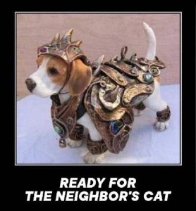 A beagle all suited up in full armor. Caption: Ready for the neighbor's cat.