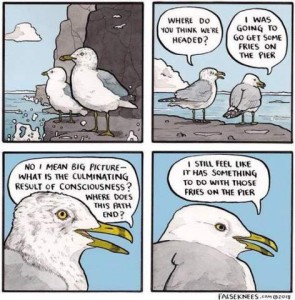 4 frame cartoon of two seagulls talking. 1st frame: they are standing on a rock, looking out to the sea. 2nd frame: Gull 1 says, "Where do you think we're headed?" Gull 2 answers, "I was going to go get some fries on the pier." Gull 1 says, "No, I mean the big picture - what is the culminating result of consciousness? Where does this path end?" Gull 2 replies, "I still feel like it has something to do with those fries on the pier."