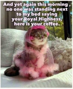 A gray cat sitting among white pillows and fluff, wearing a pink peignoir with feathery trim, a pink scarf with pink curlers around her head; she is also wearing pointy cateye glasses with clear frames. Caption: And yet again this morning, no one was standing next to my bed saying, "Your Royal Highness, here is your coffee."
