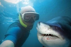 A man and a big shark in a selfie underwater