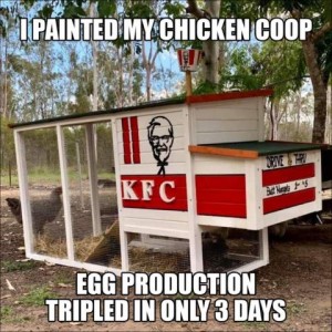 Photo of a chicken coop painted to look like a box of KFC chicken. Caption: I painted my chicken coop. Egg production tripled in only 3 days.
