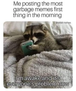 A raccoon in a bed, with a tiny smartphone in his hand. Caption: Me posting the most garbage memes first thing in the morning. I'm awake and it's everyone's problem now.