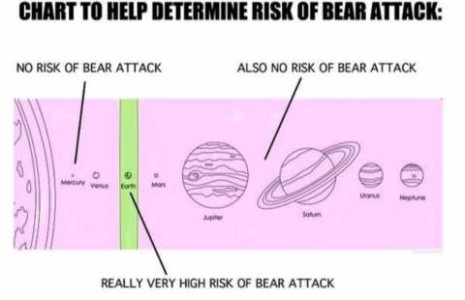 A drawing of our solar system, with the sun to the left, and the planets lined up to the right. There is a vertical highlight over earth. Over the planets to the left of earth are the words, "No risk of bear attack." Over the planets to the right of earth are the words, "Also no risk of bear attack." Below the picture, with a line pointing to earth, are the words, "Really very high risk of bear attack."