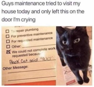 Text: Guys, maintenance tried to visit my house today and only left this on the door, I'm crying. 2 photos, one is of a black cat; the other is of a slip of paper with "we could not complete work requested because" box ticked, after which maintenance guy wrote, "Black cat said "NO"