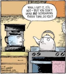 A Mr. Coffee machine is talking to a teapot on the stove next to it. "Yeah, I get it, it's hot - but you don't hear ME screaming every time, do you?"