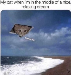 A painted scene of a beach with crashing waves and blue skies. There is a square cutout in the sky with a cat's head peeking through, saying Meeeooow. Caption: My cat when I'm in the middle of a nice, relaxing dream.