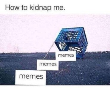 Title: How to kidnap me. Picture of an upside-down plastic milk crate, the front held up with a stick. There are 3 signs, each with the word "memes", leading up to the "trap"