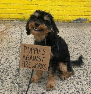 A little black and tan dog sitting on a sidewalk, wearing a sign that says puppies against fireworks.