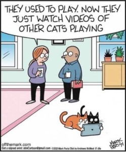 Cartoon of 2 cats on the floor, holding a tablet between them and staring intently at the screen. Owners are in the room, and wife is saying to her husband, "They used to play. Now they watch videos of other cats playing."