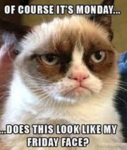 Grumpy Cat closeup. Caption: Of course it's Monday...does this look like my Friday face?