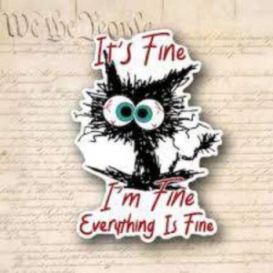 Silly drawing of a cat with huge bulging eyes and hair sticking up as if electrified. Text: It's Fine. I'm fine. Everything is fine.