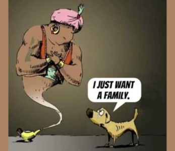 Cartoon of a genie coming out of a lamp. A skinny little dog is looking up him, a tear running from his eye, saying, "I just want a family."