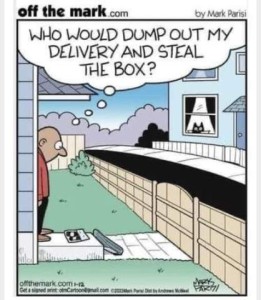 Cartoon showing a man standing at his porch, looking down at a couple of objects as a cat is watching him from a neighboring window. Thought bubble over the man: "Who would dump out my delivery and steal the box?"
