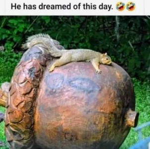 A huge statue of an acorn with a squirrel laying spread out on top of it. Caption: He has dreamed of this day!