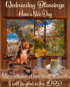 A put-together picture of a tiny dog on a wooden rocker with a few vintage items pasted onto the area next to it, and the whole scene is pasted in front of a window with a view of trees, blue sky, and clouds. The words on it say, "Wednesday Blessings. Have a Nice Day. Psalms 104:34 KJV My meditation of Him shall be sweet; I will be glad in the LORD"