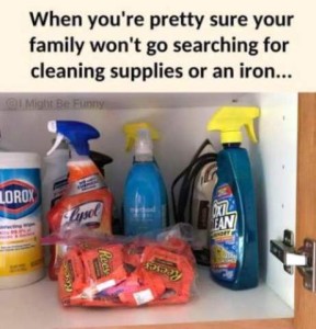 Photo of a shelf in a cupboard with an iron and various cleaning supplies, and a bag of Reese's peanut butter cups. Caption: When you're pretty sure your family won't go searching for cleaning supplies or an iron...