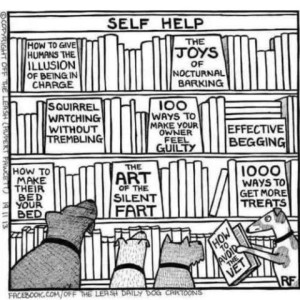 Black and white cartoon of 4 dogs in the Self Help section of a bookstore. Several covers are showing: "How To Give Humans The Illusion Of Being In Charge" "The Joys Of Nocturnal Barking" "Squirrel Watching Without Trembling" "100 Ways To Make Your Owner Feel Guilty" "Effective Begging" "How To Make Their Bed, Your Bed" "The Art Of The Silent Fart" "1000 Ways To Get More Treats" One of the dogs is looking through the book, "How To Avoid The Vet."