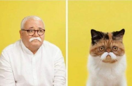 Side by side photos of an older man with glasses, eyebrows raised in the center, and white mustache forming a downward arc over his top lip, and a calico cat with a mostly-orange face, brown markings forming a downward line over her eyes, and a white mustache in a over her upper lip in a downward arc.