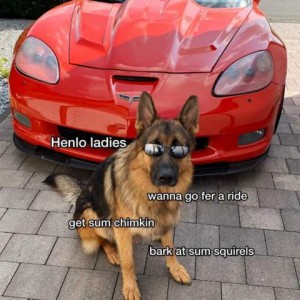 A german shepherd in mirror sunglasses is sitting in front of a shiny red sports car. Phrases around him: "Henlo ladies' "Wanna go fer a ride" "get sum chimkin" "bark at sum squirls"