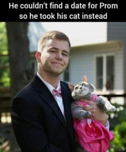 Young man in a tuxedo with a pink bowtie holding a gray and white cat wearing a formal pink dress, looking up adoringly at his face. Caption: He couldn't find a date for Prom so he took his cat instead.