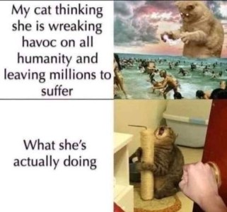 picture of a huge yellow cat, glowing eyes, toes spread, one front paw holds a hook as it looks down at terrified people running out of the water way below it. Caption: My cat thinking she is wreaking havoc on all humanity and leaving millions to suffer. Below is a photo of a cat using her scratching post, head up and mouth open. Caption: What she's actually doing