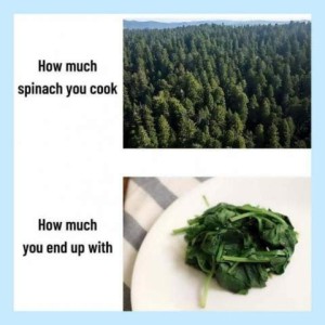 2 photos: top photo is an aerial view of a dark green forest, with the text, "How much spinach you cook." Bottom photo is a plate with a tiny pile of dark green spinach with the text, "How much you end up with."